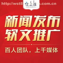 杭州往上推網(wǎng)絡(luò)科技與阿土伯網(wǎng) 杭州網(wǎng)絡(luò)技術(shù)服務(wù)的新標(biāo)桿